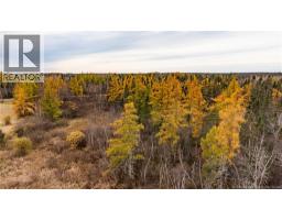3457 Route 490, Dundas, NB E1G3R7 Photo 31
