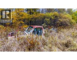 Very rusted, very stuck-in-place GMC Sierra Grande C2500 from the 1970s. Picture taken October 22, 2024.