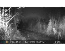3457 Route 490, Dundas, NB E1G3R7 Photo 34