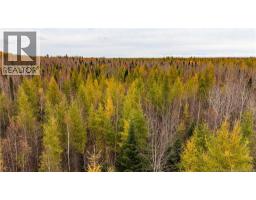 Lot 25-02 Route 490, Dundas, NB E1G3R7 Photo 18