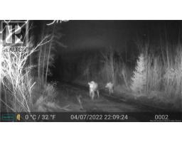 Lot 25-02 Route 490, Dundas, NB E1G3R7 Photo 26