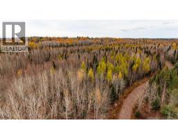 Lot 25-02 Route 490, Dundas, NB E1G3R7 Photo 6