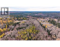 Lot 25-01 Route 490, Dundas, NB E1G3R7 Photo 11
