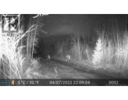 Lot 25-01 Route 490, Dundas, NB E1G3R7 Photo 14