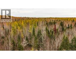 Lot 25-01 Route 490, Dundas, NB E1G3R7 Photo 21