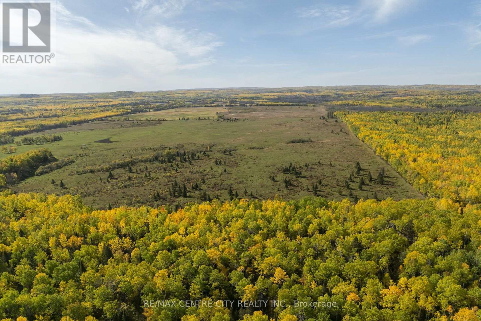 98 Whittaker photo 5