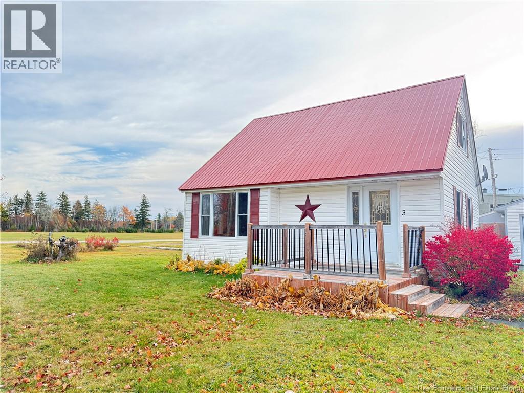 3 Faraday photo 2