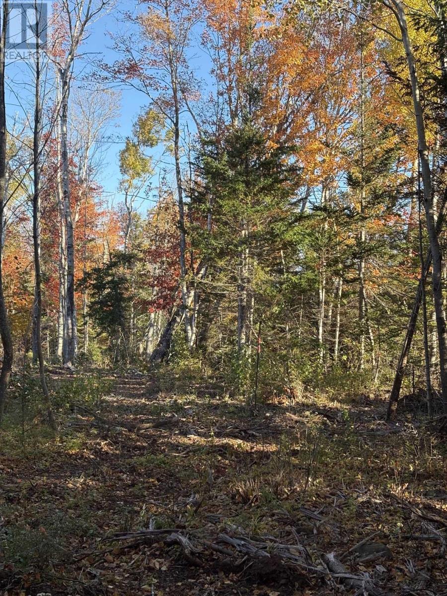 LOT 2-25 BLUE SEA Road photo 3