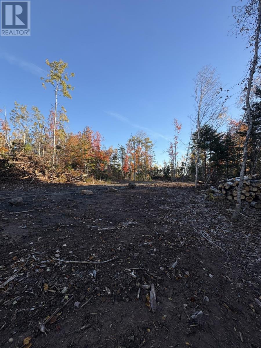 LOT 2-25 BLUE SEA Road photo 5