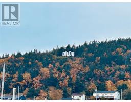 5 Hill Road, Dildo, NL A0B1P0 Photo 12