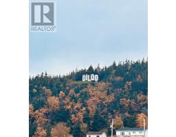 5 Hill Road, Dildo, NL A0B1P0 Photo 16