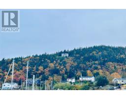 5 Hill Road, Dildo, NL A0B1P0 Photo 20