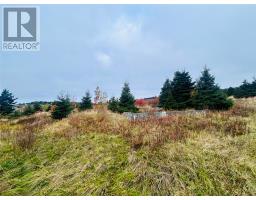 5 Hill Road, Dildo, NL A0B1P0 Photo 6