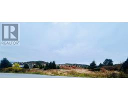 5 Hill Road, Dildo, NL A0B1P0 Photo 8
