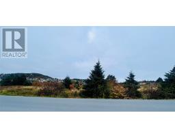 5 Hill Road, Dildo, NL A0B1P0 Photo 9