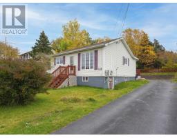 10 Cranes Road, Spaniards Bay, NL A0A3X0 Photo 17