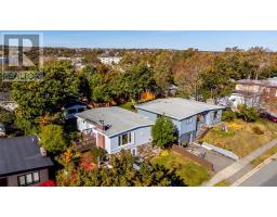39 Slattery Road, St  John S, NL A1A1Z7 Photo 46
