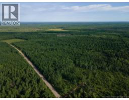 Lot Brown Road, Richibucto, NB E4W2P6 Photo 10