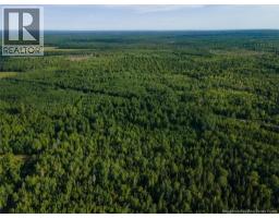 Lot Brown Road, Richibucto, NB E4W2P6 Photo 11