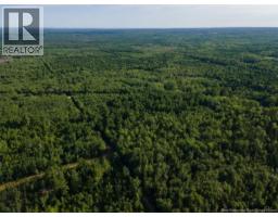 Lot Brown Road, Richibucto, NB E4W2P6 Photo 12