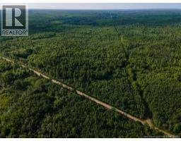 Lot Brown Road, Richibucto, NB E4W2P6 Photo 6