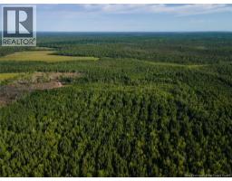 Lot Brown Road, Richibucto, NB E4W2P6 Photo 7