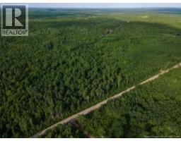 Lot Brown Road, Richibucto, NB E4W2P6 Photo 8