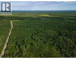 Lot Brown Road, Richibucto, NB E4W2P6 Photo 9