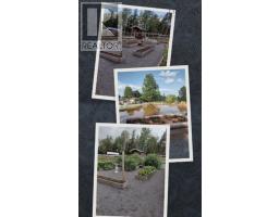 8881 Highway 311, Balfron, NS B0K1V0 Photo 21