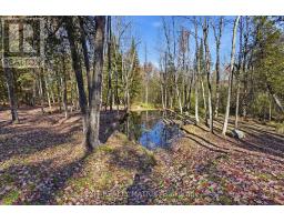 0000 Sandy Hill Road, Champlain, ON K6A2R2 Photo 13