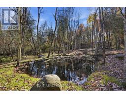 0000 Sandy Hill Road, Champlain, ON K6A2R2 Photo 14