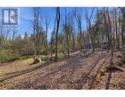 0000 Sandy Hill Road, Champlain, ON K6A2R2 Photo 15