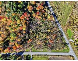 0000 Sandy Hill Road, Champlain, ON K6A2R2 Photo 20