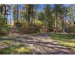 0000 Sandy Hill Road, Champlain, ON K6A2R2 Photo 8