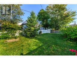 38 Smith Avenue, St  John S, NL A1C5G1 Photo 35