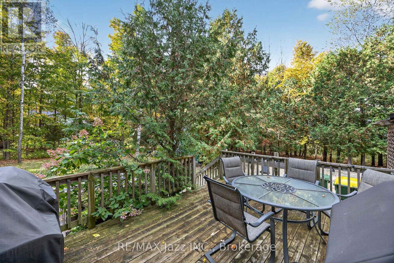 170 Raglan Street, Grey Highlands, ON photo 29