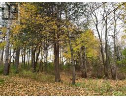 13760 Keele Street, King, ON L7B1A3 Photo 27