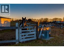 226184 76 Street E, Rural Foothills County, AB T1S3W2 Photo 29