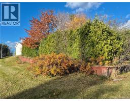 533 Broadway Boulevard West, Grand Sault/grand Falls, NB E3Z2L2 Photo 44