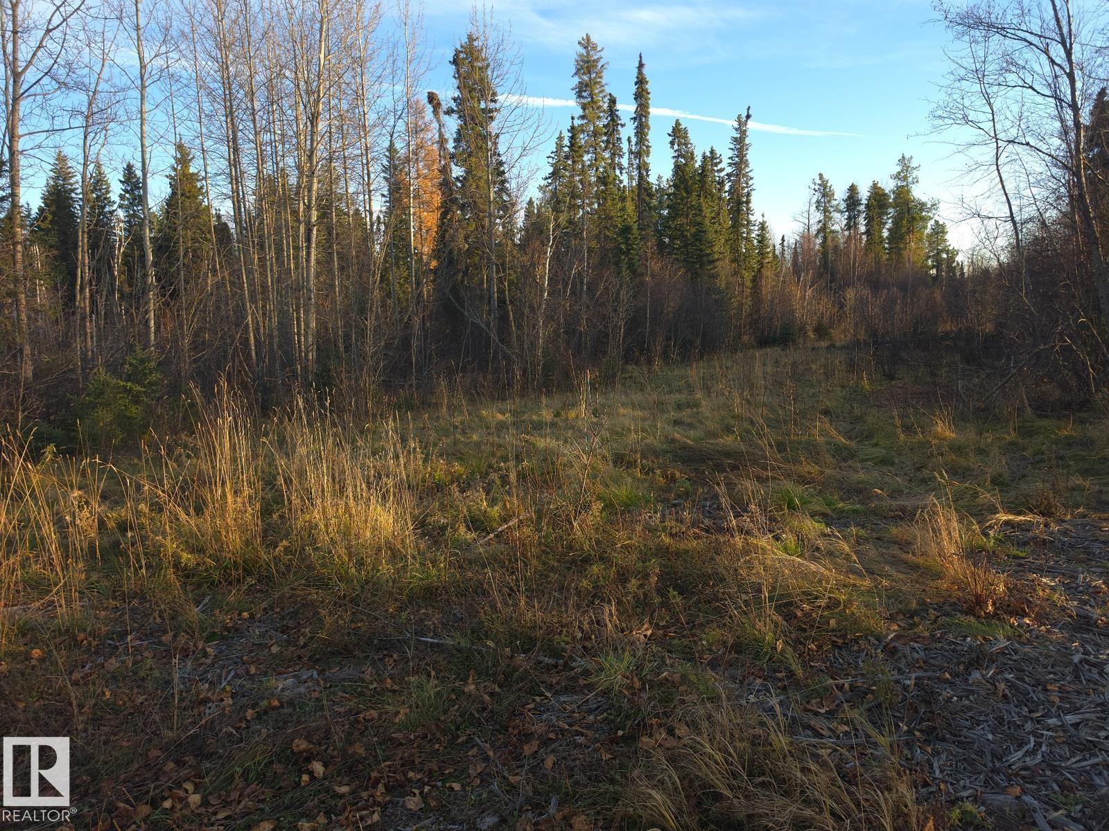 RR 85 Township Rd 482, Rural Brazeau County — photo 7