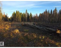 Rr 85 Township Rd 482, Rural Brazeau County, AB T7A2A3 Photo 6