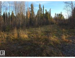 Rr 85 Township Rd 482, Rural Brazeau County, AB T7A2A3 Photo 7