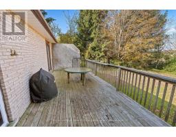 585349 County Road 17, Melancthon, ON L9V1Y9 Photo 44