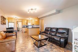 62 Eastgate Drive, Steinbach, MB R0A0W0 Photo 36