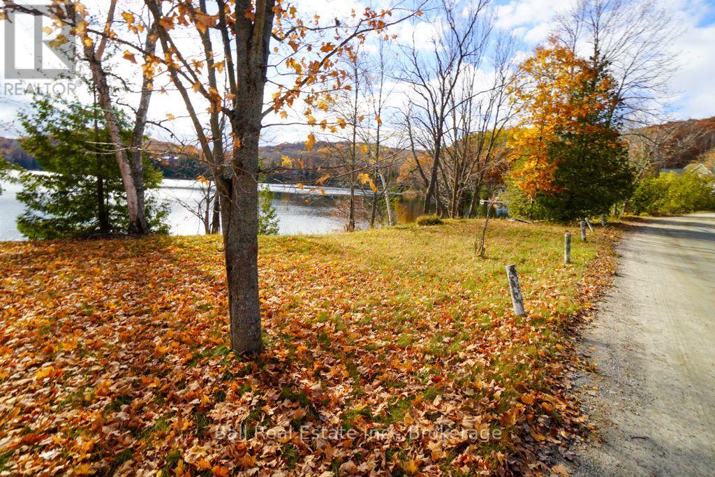233 Trout Lake Road, Faraday, ON photo 19