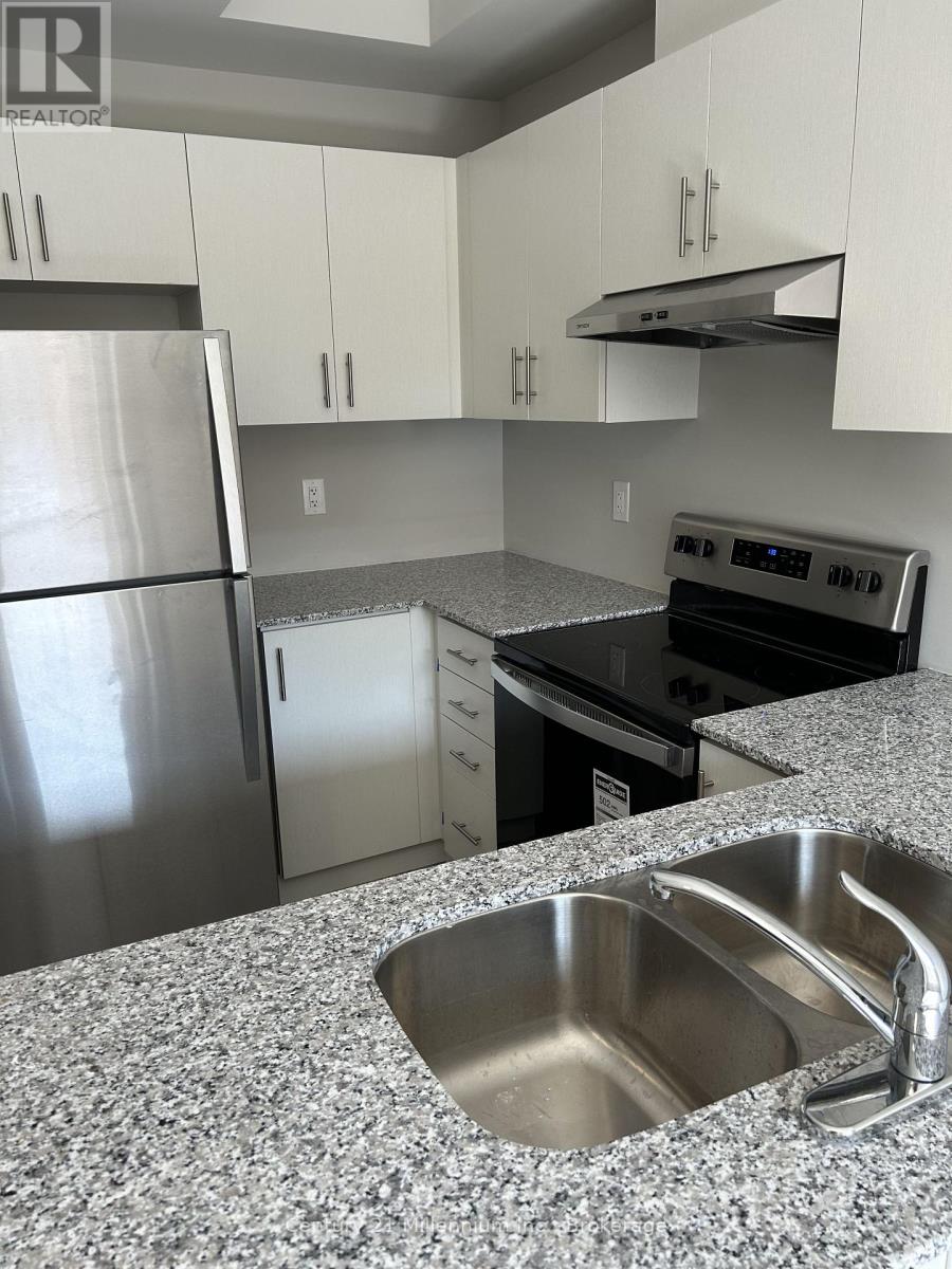 12 Winters Crescent, Collingwood photo 10