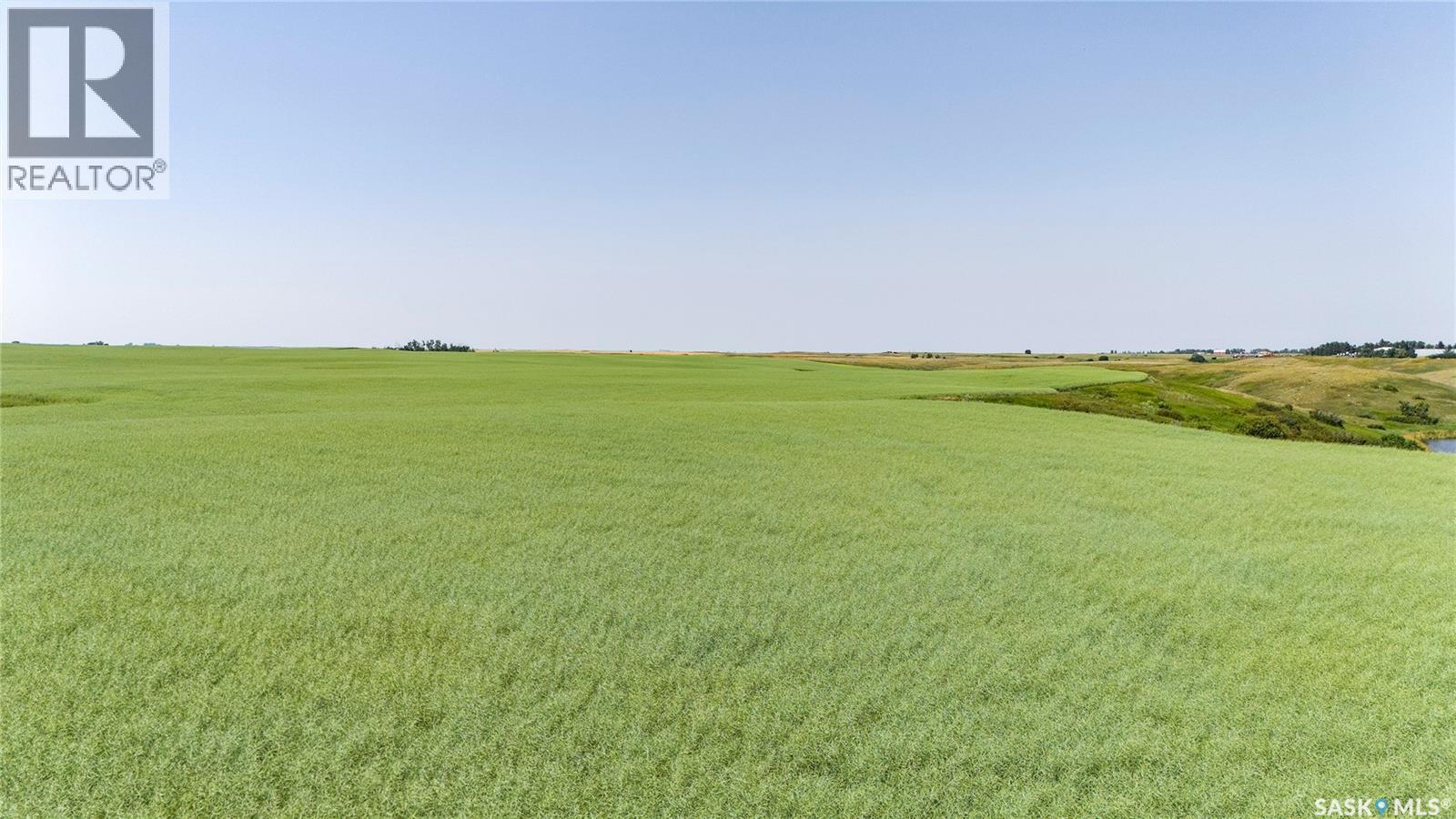 4.8 Quarters of Grainland Near Dilke, SK (Flavel), Dilke — photo 2