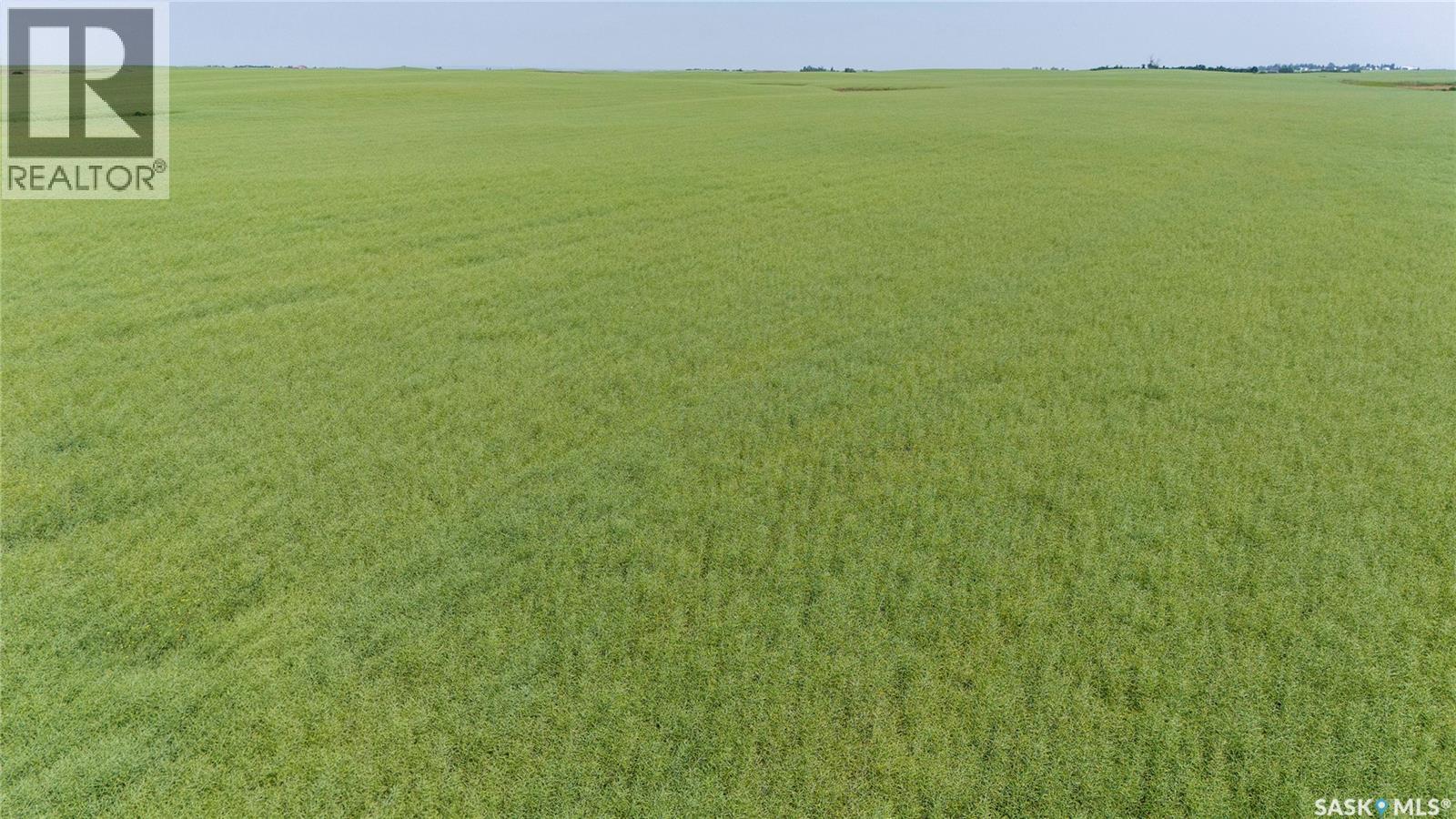 4.8 Quarters of Grainland Near Dilke, SK (Flavel), Dilke — photo 10