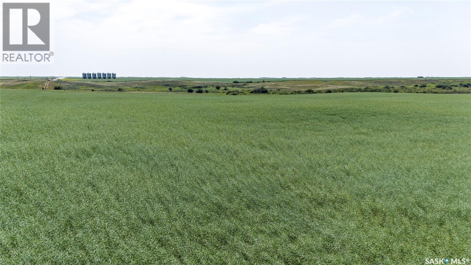 4.8 Quarters of Grainland Near Dilke, SK (Flavel), Dilke — photo 3