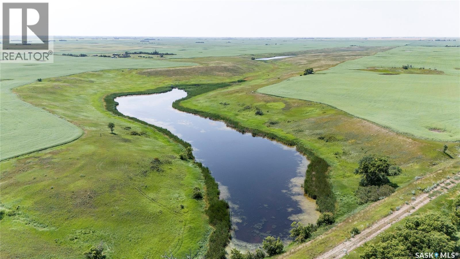 4.8 Quarters of Grainland Near Dilke, SK (Flavel), Dilke — photo 6
